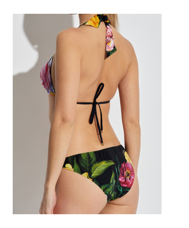 Dolce & Gabbana Floral Pattern Two-piece Swimsuit In Multicolor