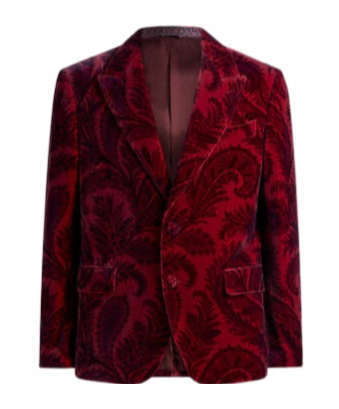 Etro Velvet Blazer With Print In Burgundy