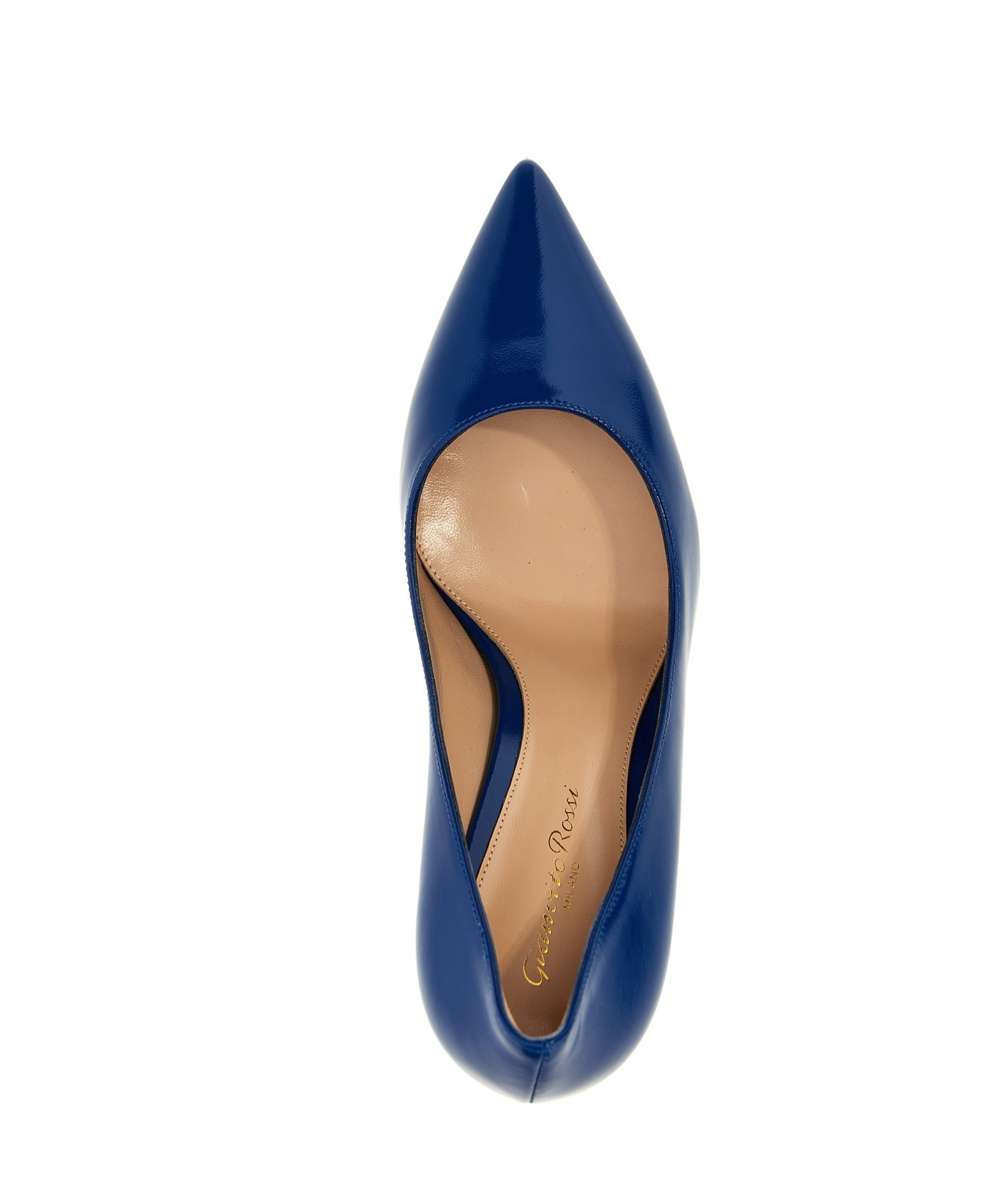 Shop Gianvito Rossi 85mm Gianvito Pumps In Blue