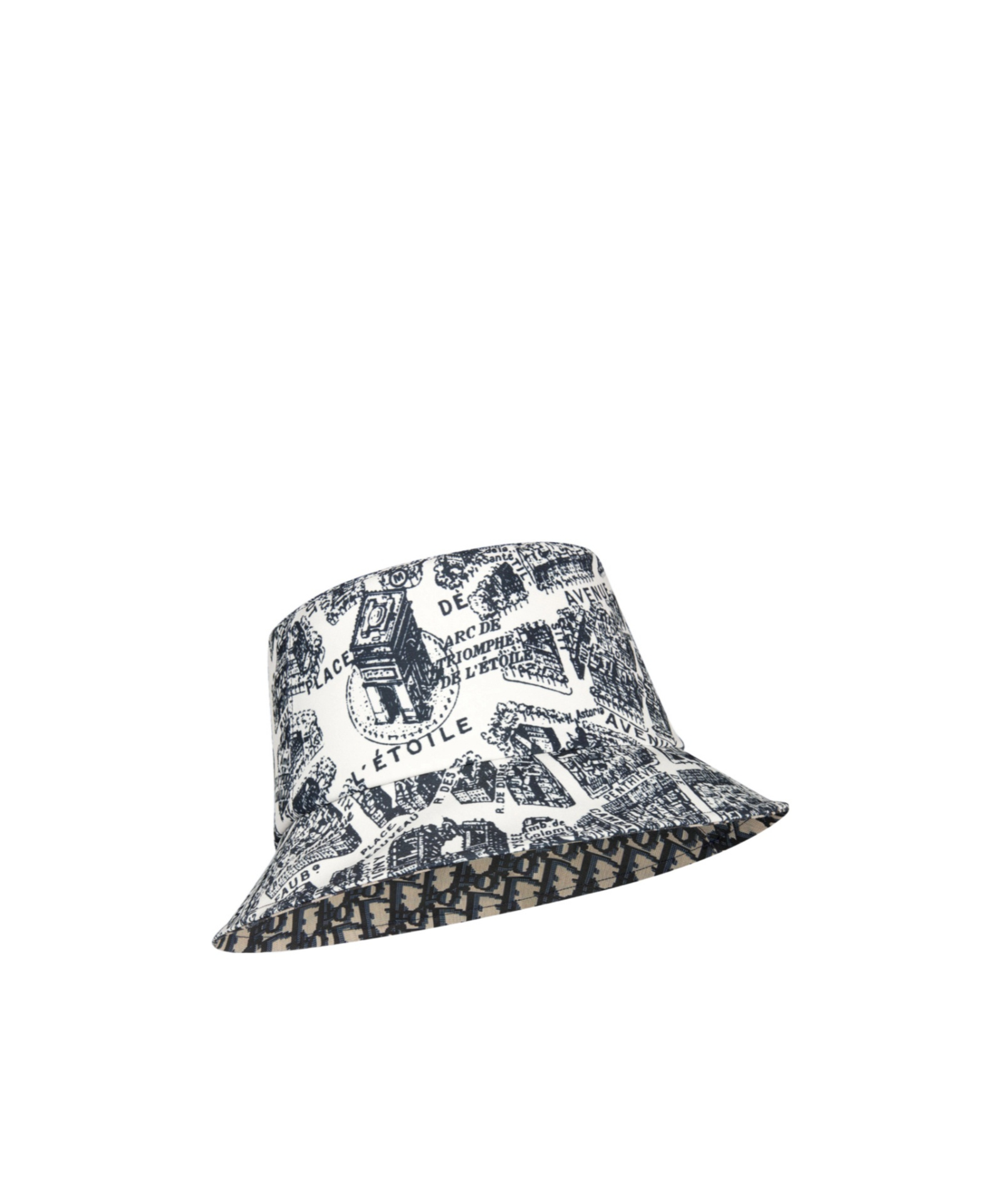 Dior Teddy-d Plan De Paris Reversible Small Brim Bucket Hat In Gray