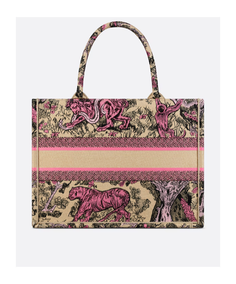 Dior Medium Iviera Handbag In Multicolor