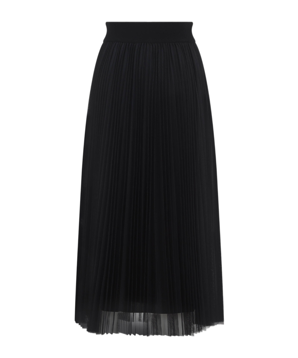 Fabiana Filippi Pleated Maxi Skirt With Sheer Overlay And High Waistband