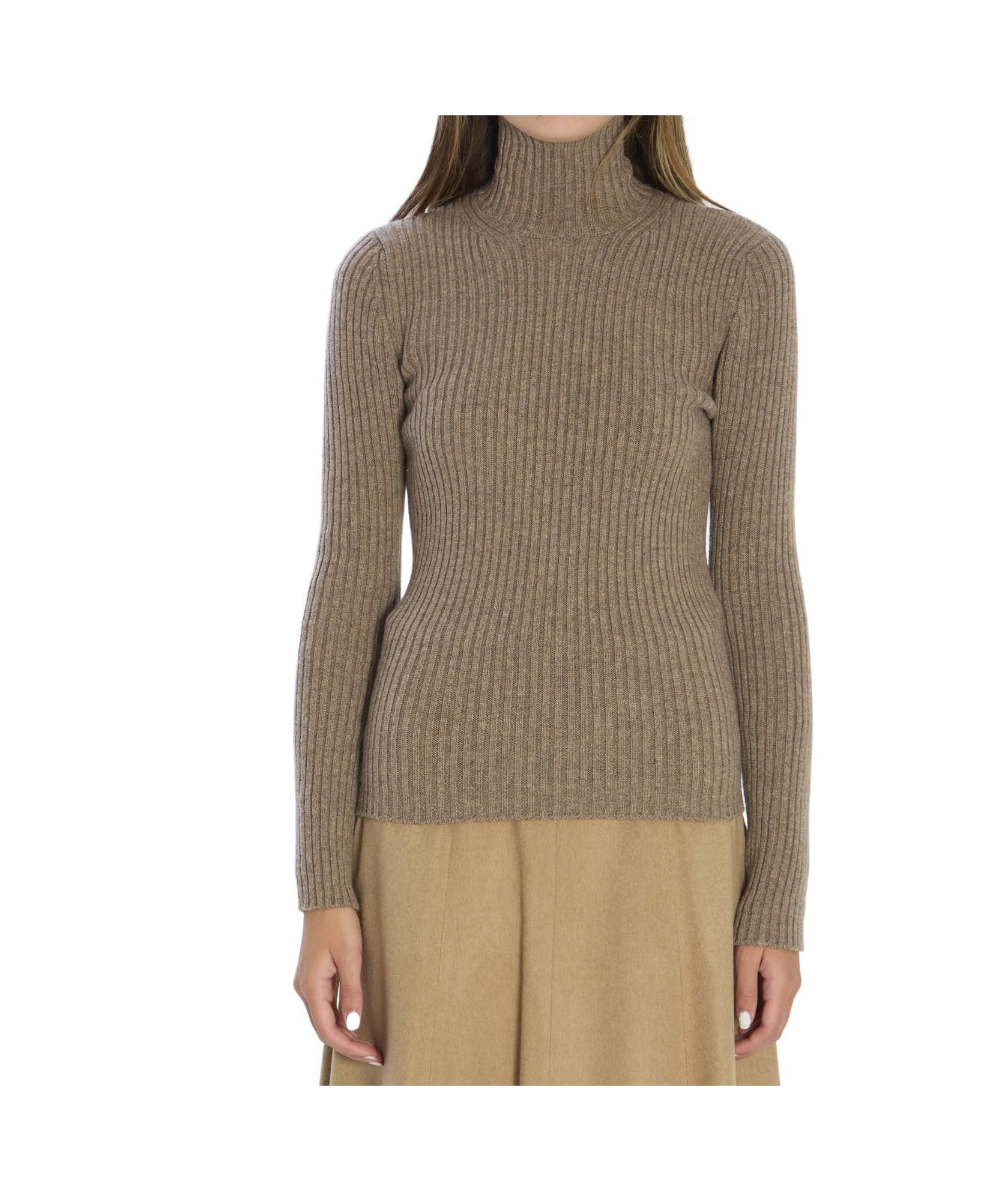 Max Mara Wool And Cashmere High Neck Knit Top In Brown