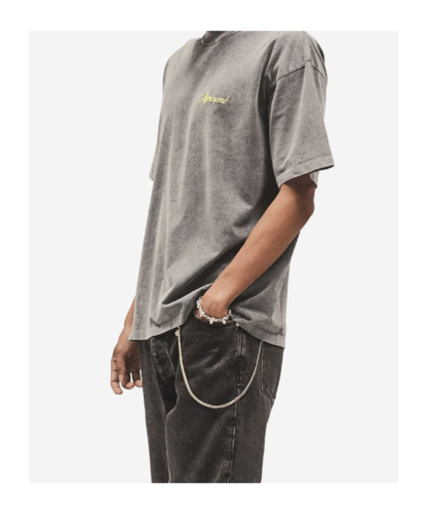 Represent Logo Printed T-shirt In Burgundy