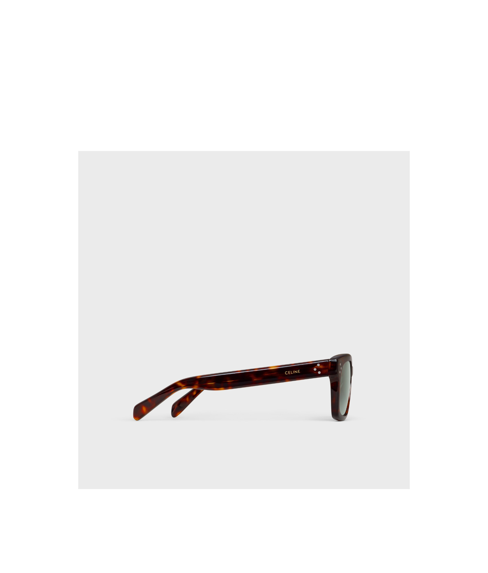 Celine Full Frame Sunglasses In Brown