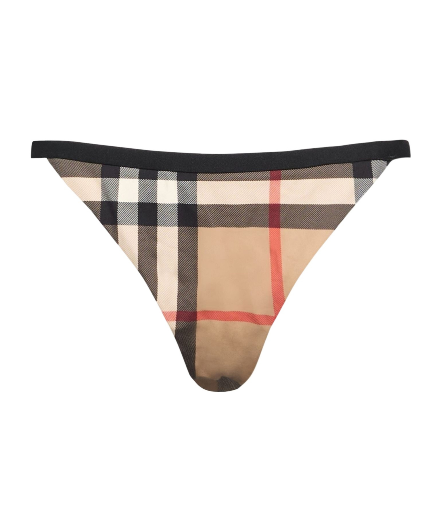 Burberry Bikini Bottoms In Camel