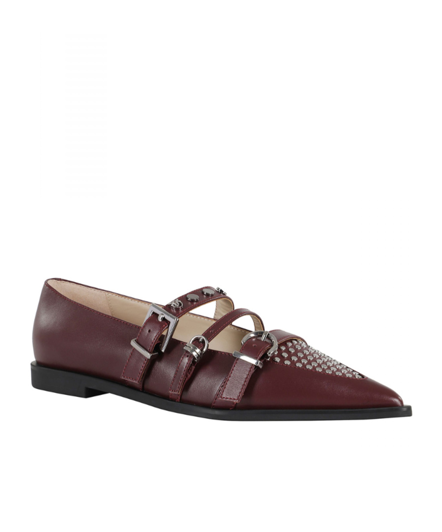 Pinko Zulema Pointed-toe Ballerinas In Red