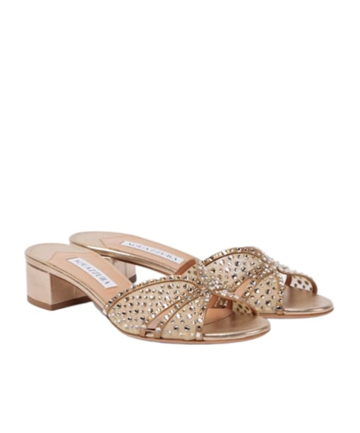 Aquazzura Decorative Tulle Mules In Brown