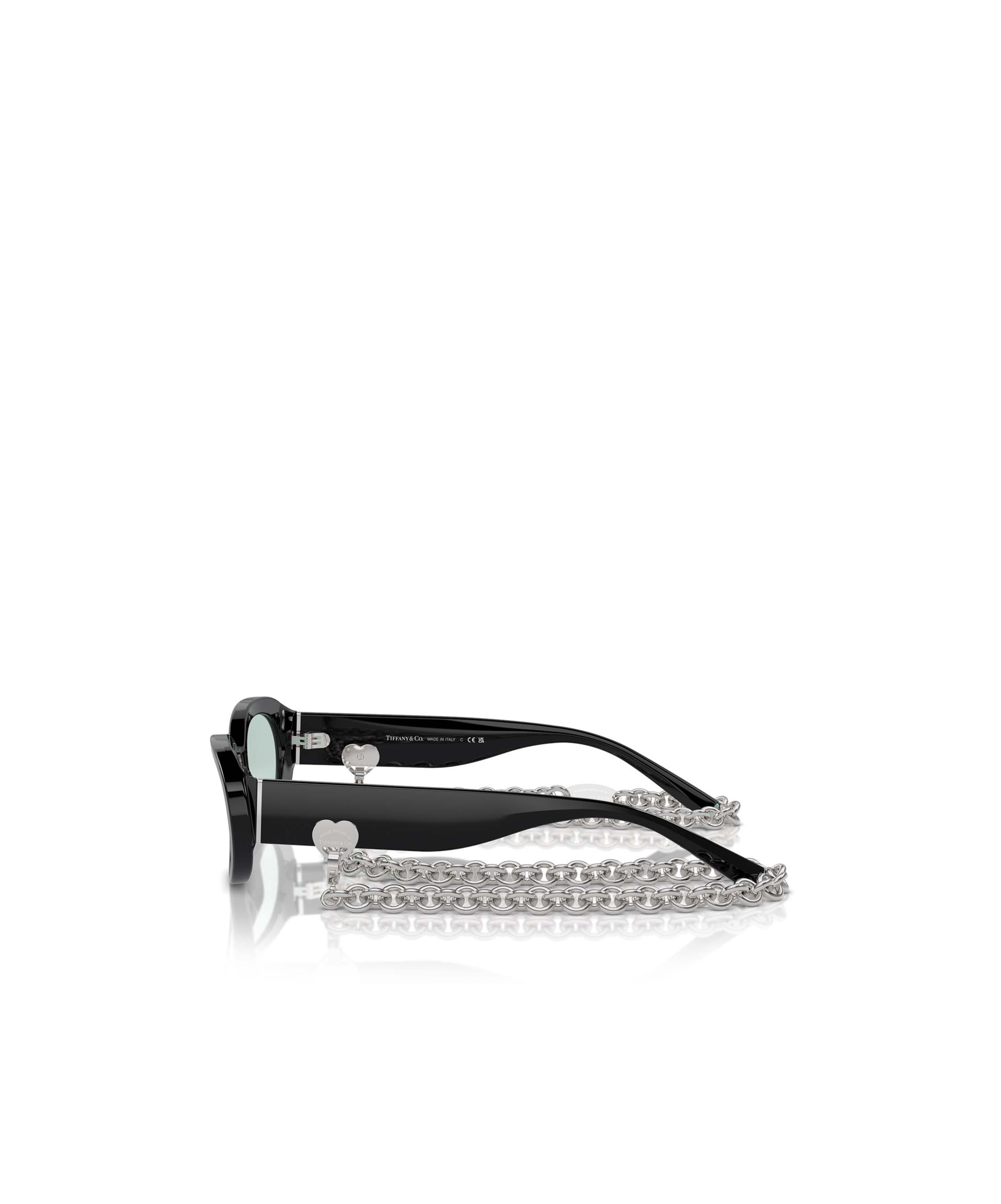 Tiffany & Co Full Frame Sunglasses In Black