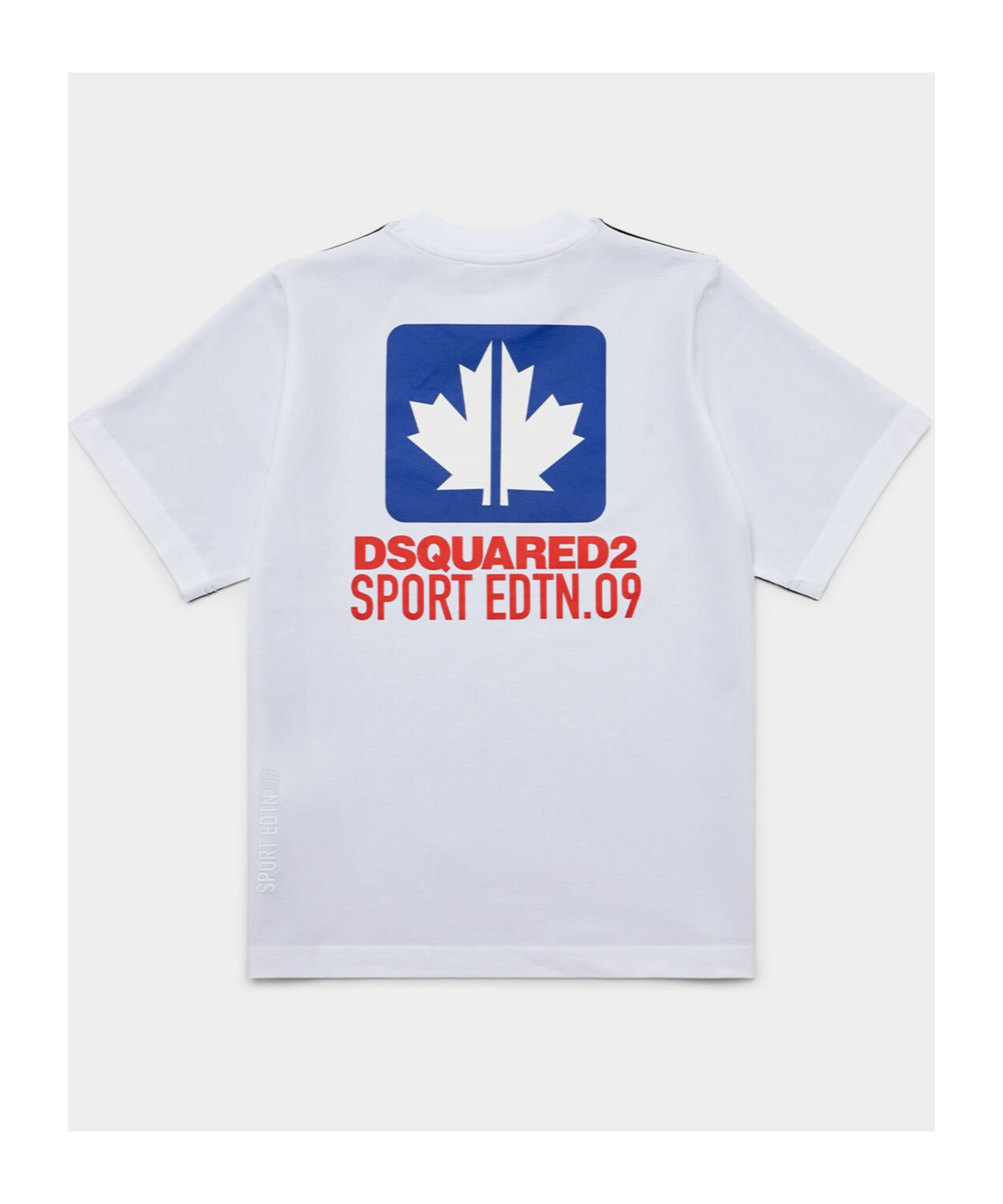 Dsquared2 Maple-leaf Print T-shirt In Black