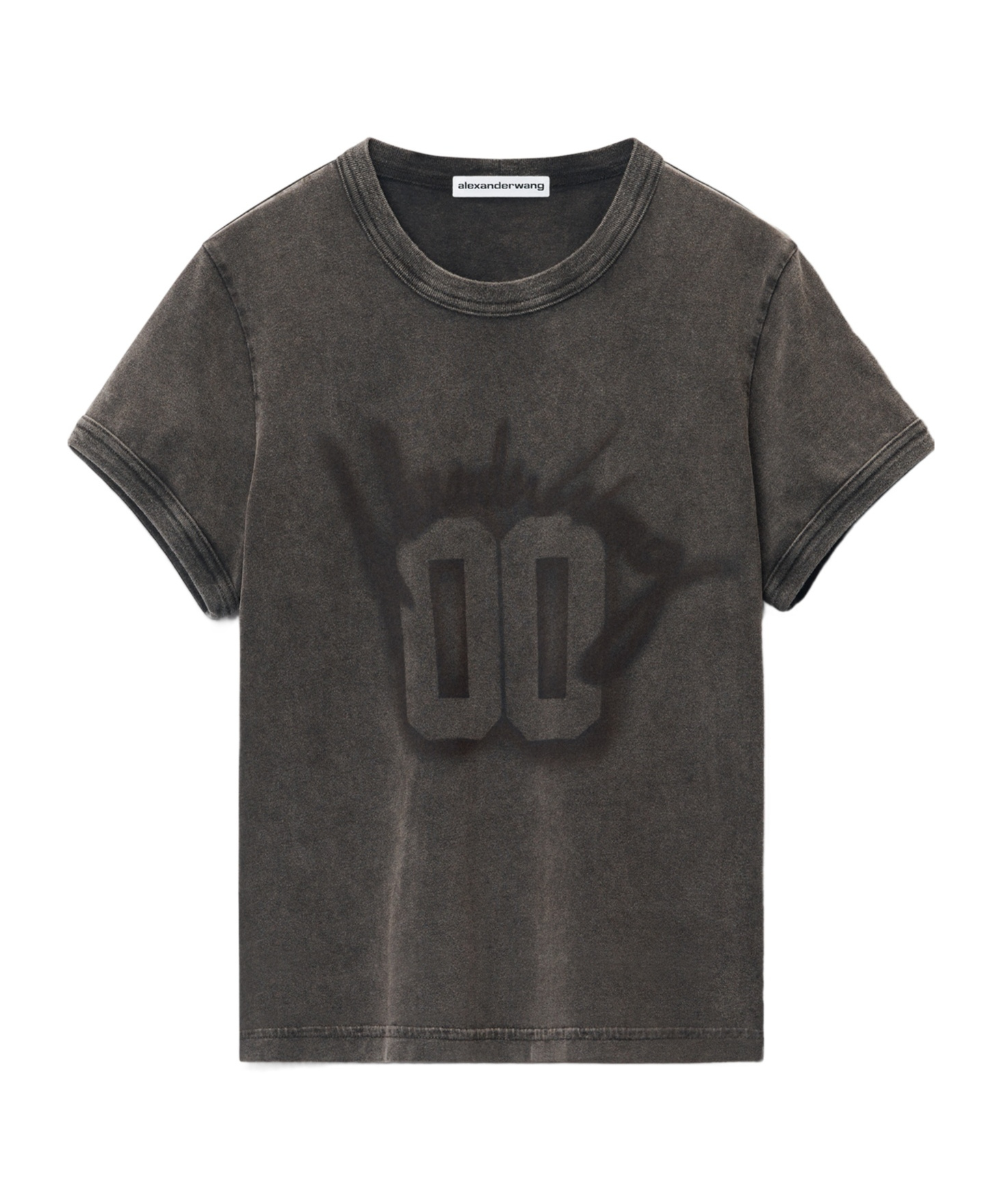 Alexander Wang Embroidered T-shirt Graphic Print In Black