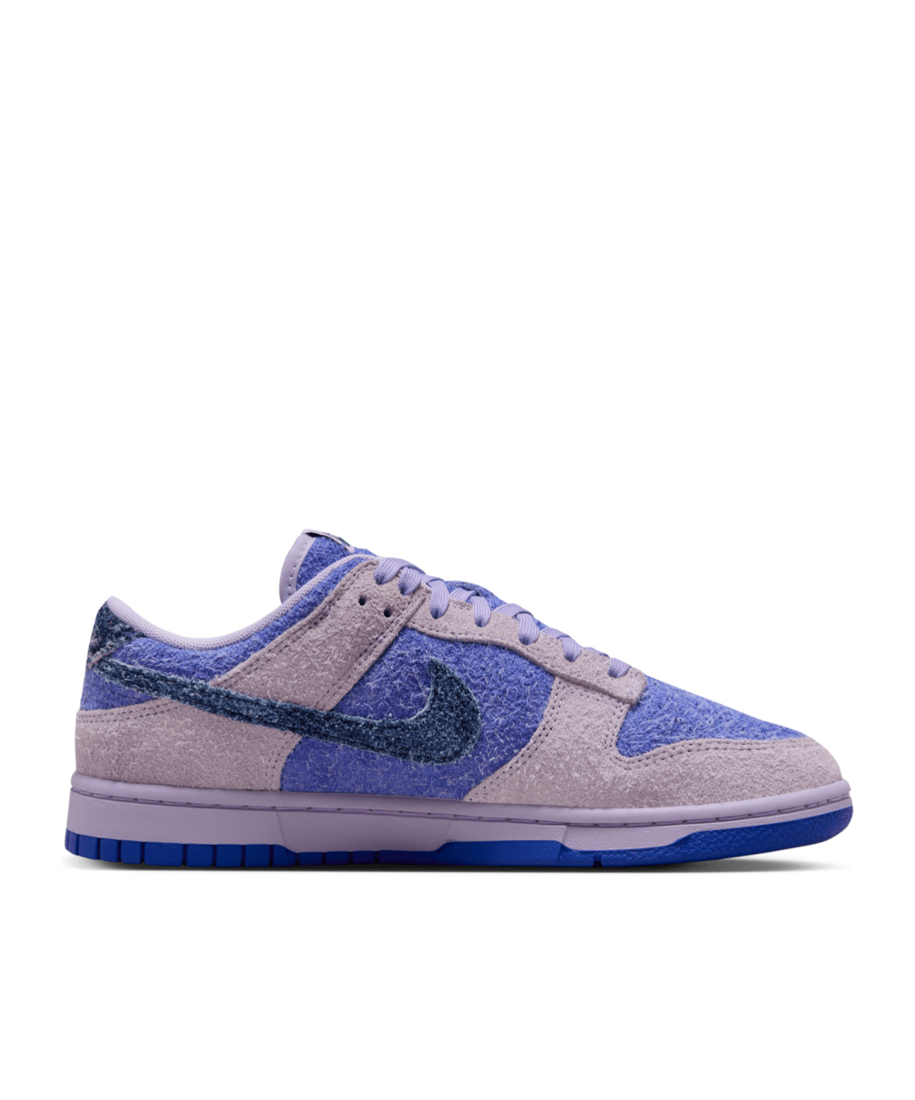 Nike Dunk Low Se Basketball Sneaker In Blue