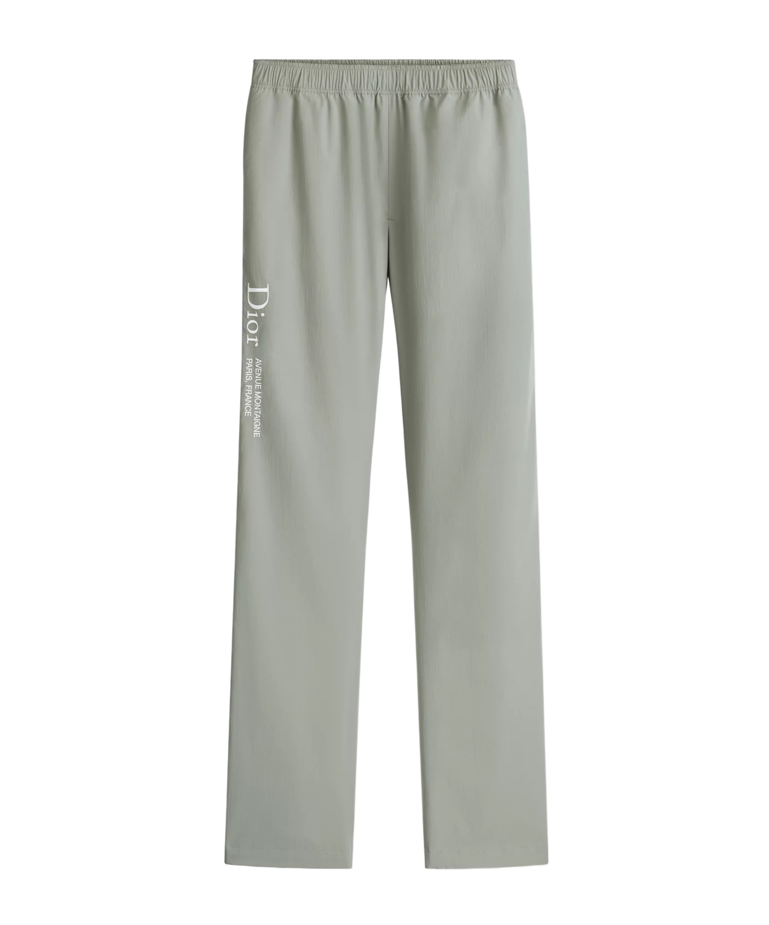Dior Track Pants In Gray