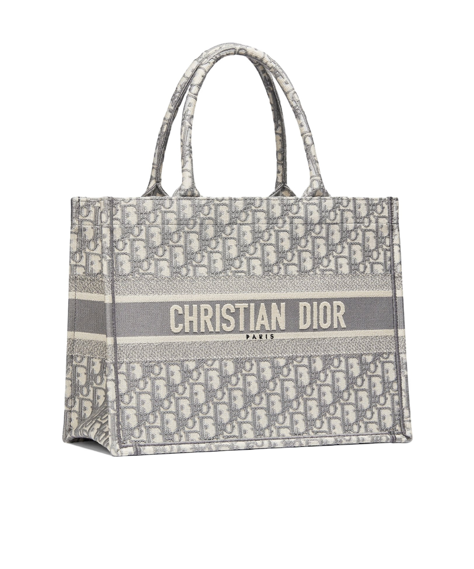 Dior Pattern Handbag In Gray