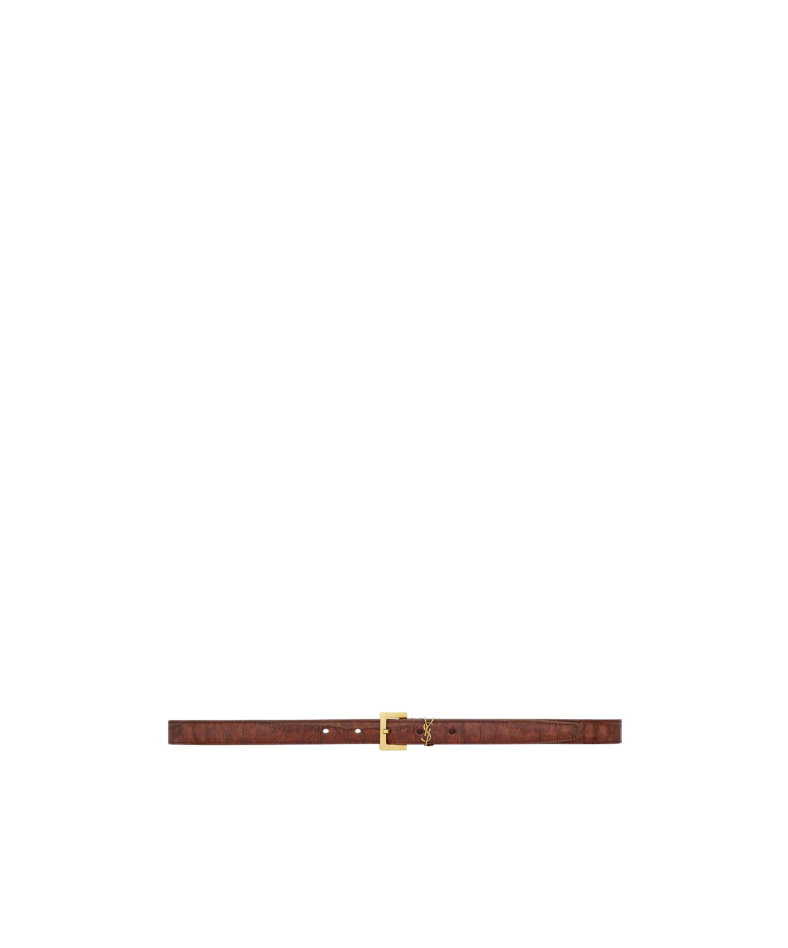 Saint Laurent Logo Belt In Plant Brown
