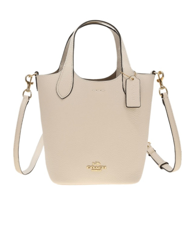 Coach Hanna 17 Bucket Bag In Nude
