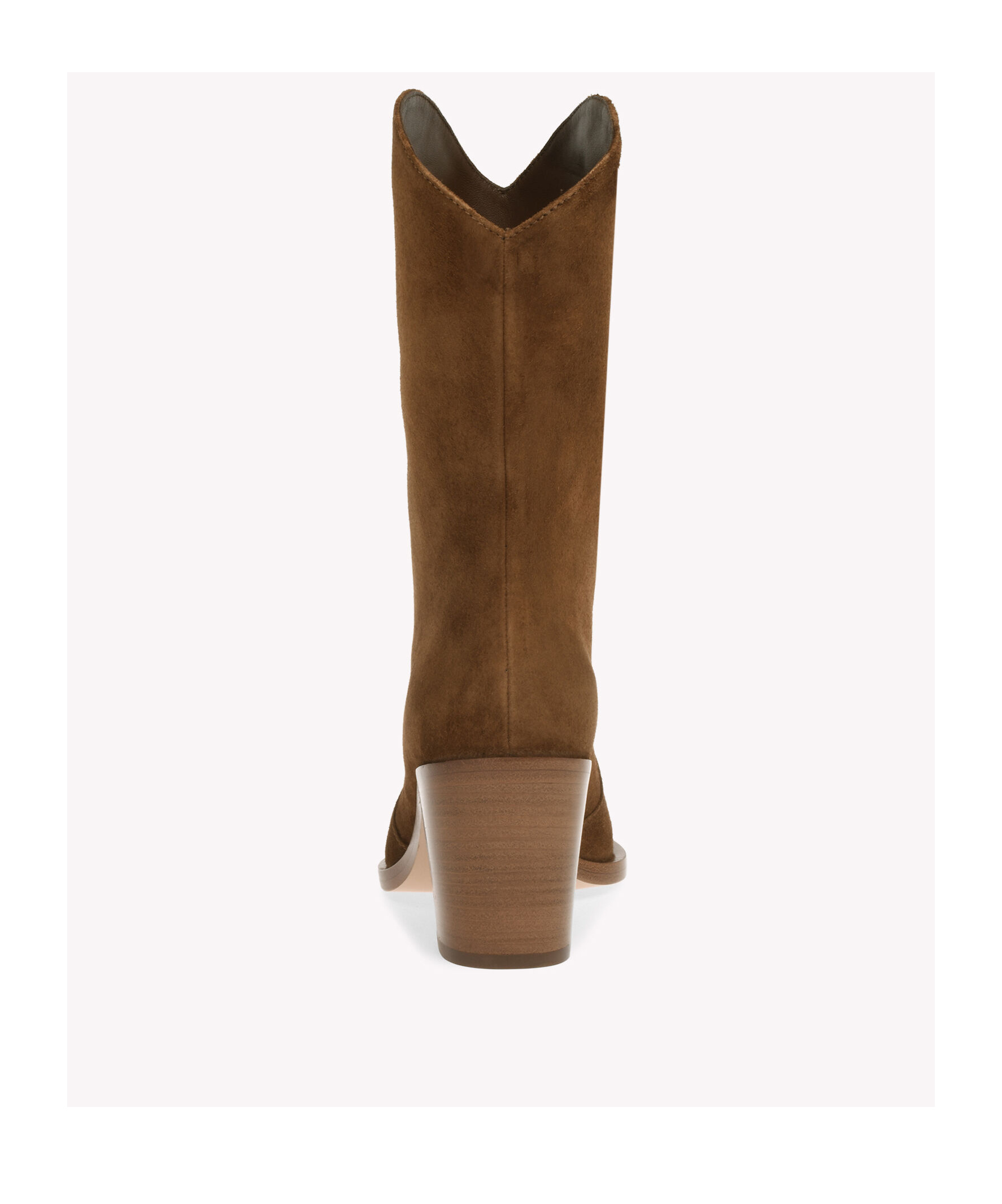 Gianvito Rossi Denver Pointed-toe Boots In Brown