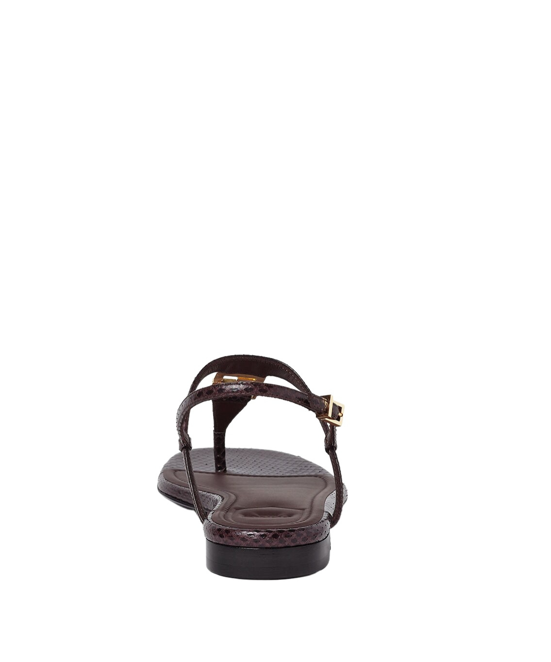 Fendi Dark Purple Ayers Thong Sandals In Brown