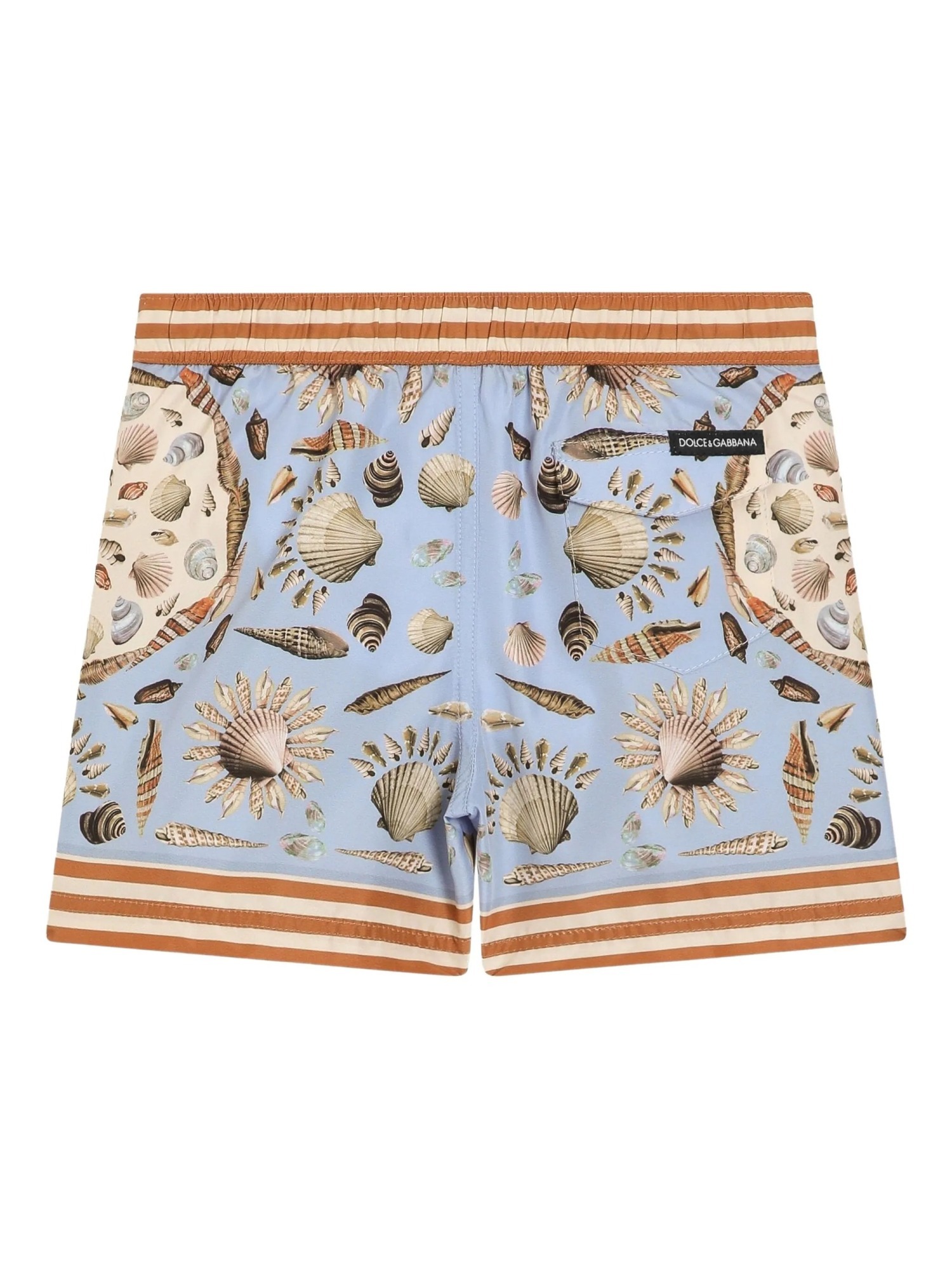 Dolce & Gabbana Shell-print Swim Shorts In Multi