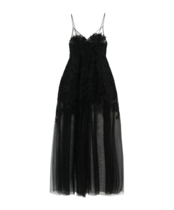 Ermanno Scervino Floral-lace Tulle Maxi Dress In Black