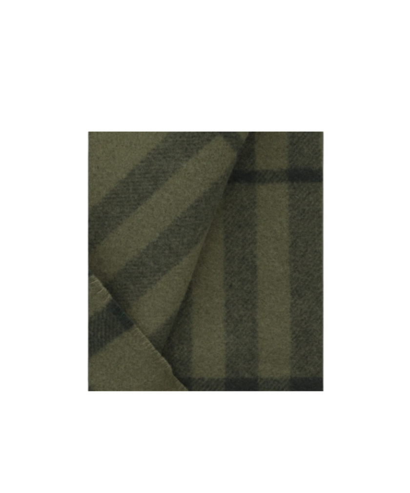 Burberry Plaid Scarf In Green