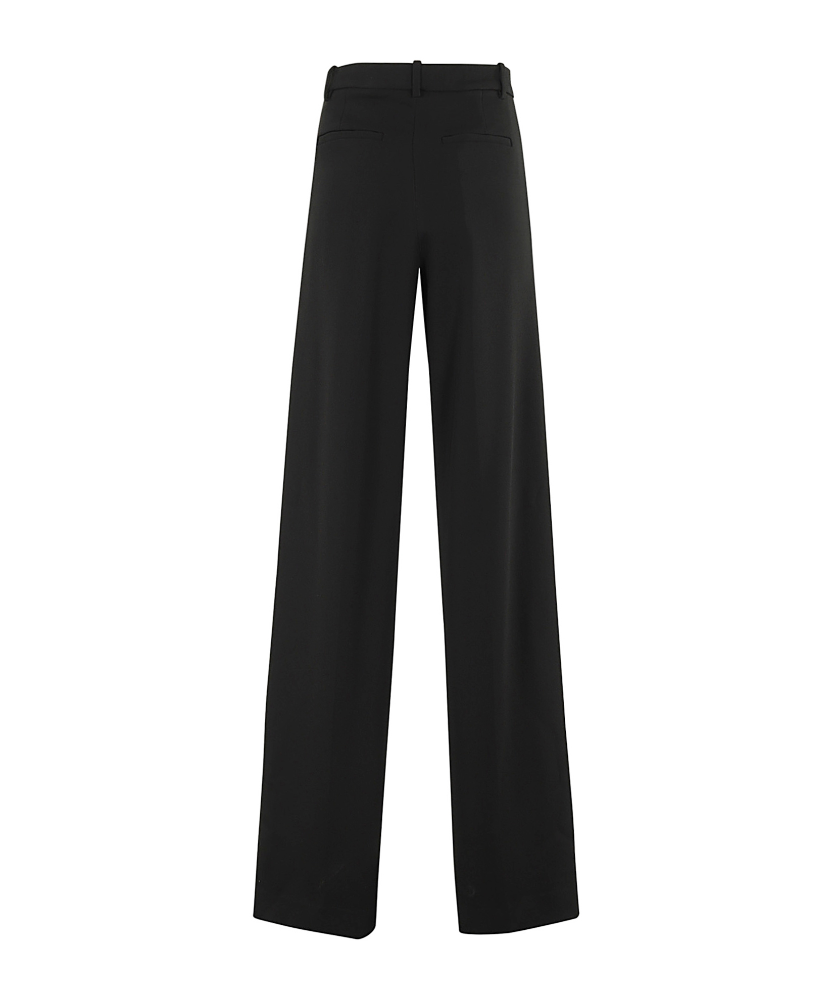 Blumarine Wide Pants In Black