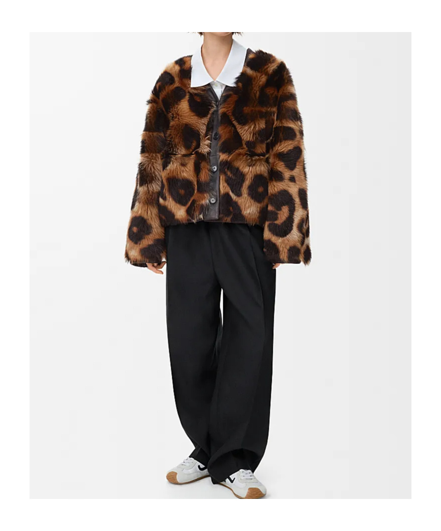 Loewe Leopard-print Shearling Jacket In Multi