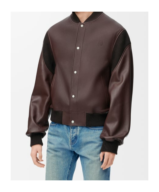 Loewe Bomber Jacket In Nappa Lambskin In Brown
