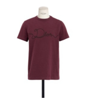 Dior Crew Neck Short-sleeved T-shirt In Burgundy