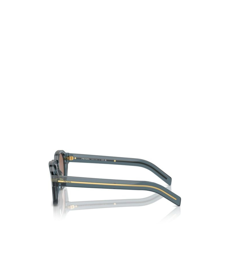 Prada Sunglasses With Iconic Metal Plaque In Brown