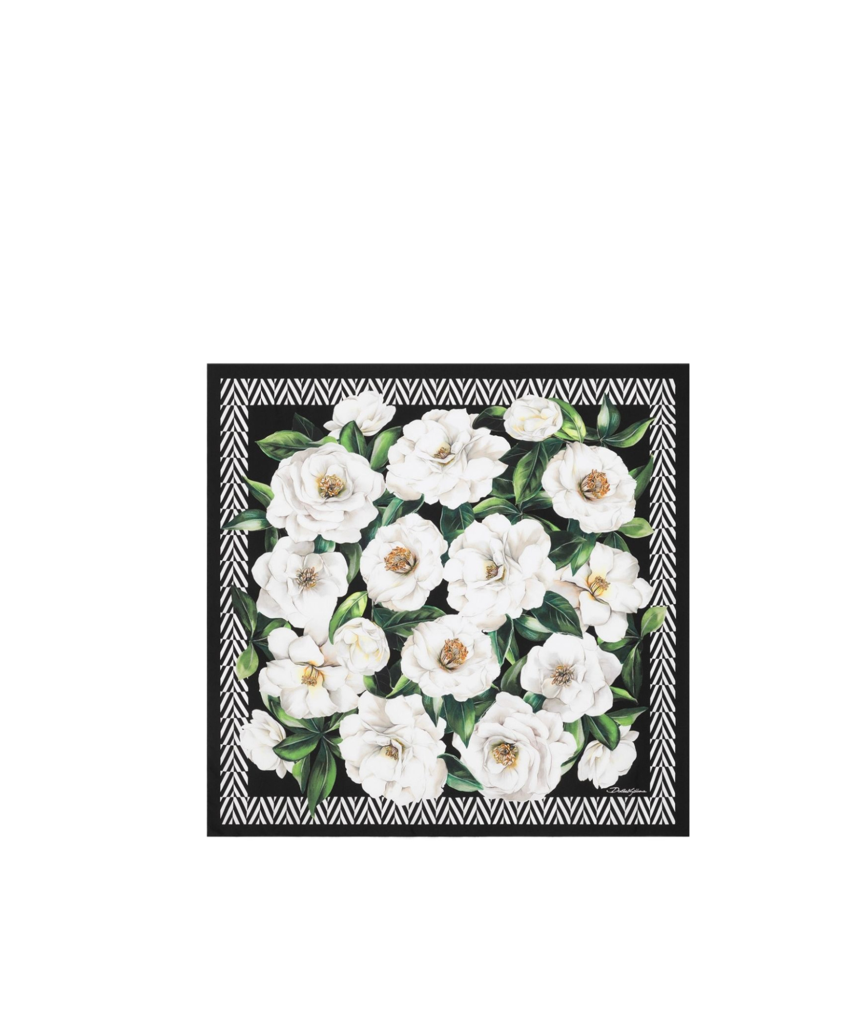 Dolce & Gabbana Black Scarf In Pure Silk With Floral Print In White