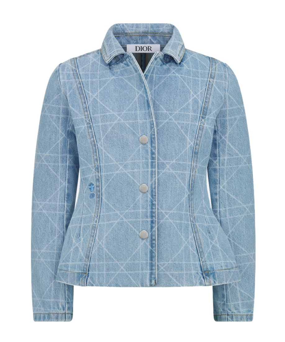 Dior Long Sleeve Jacket In Blue
