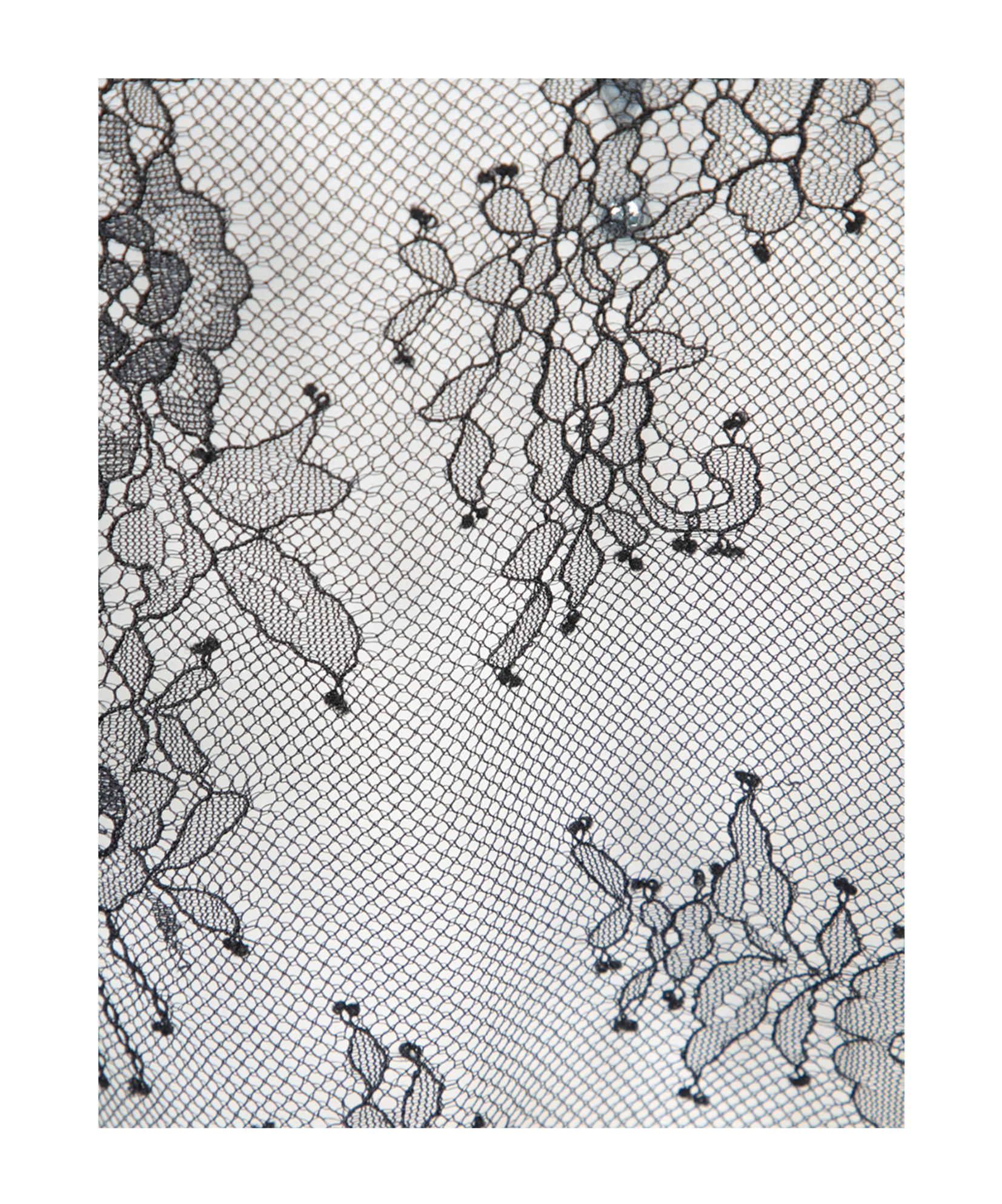 Alberta Ferretti Sleeveless Lace Top In Black