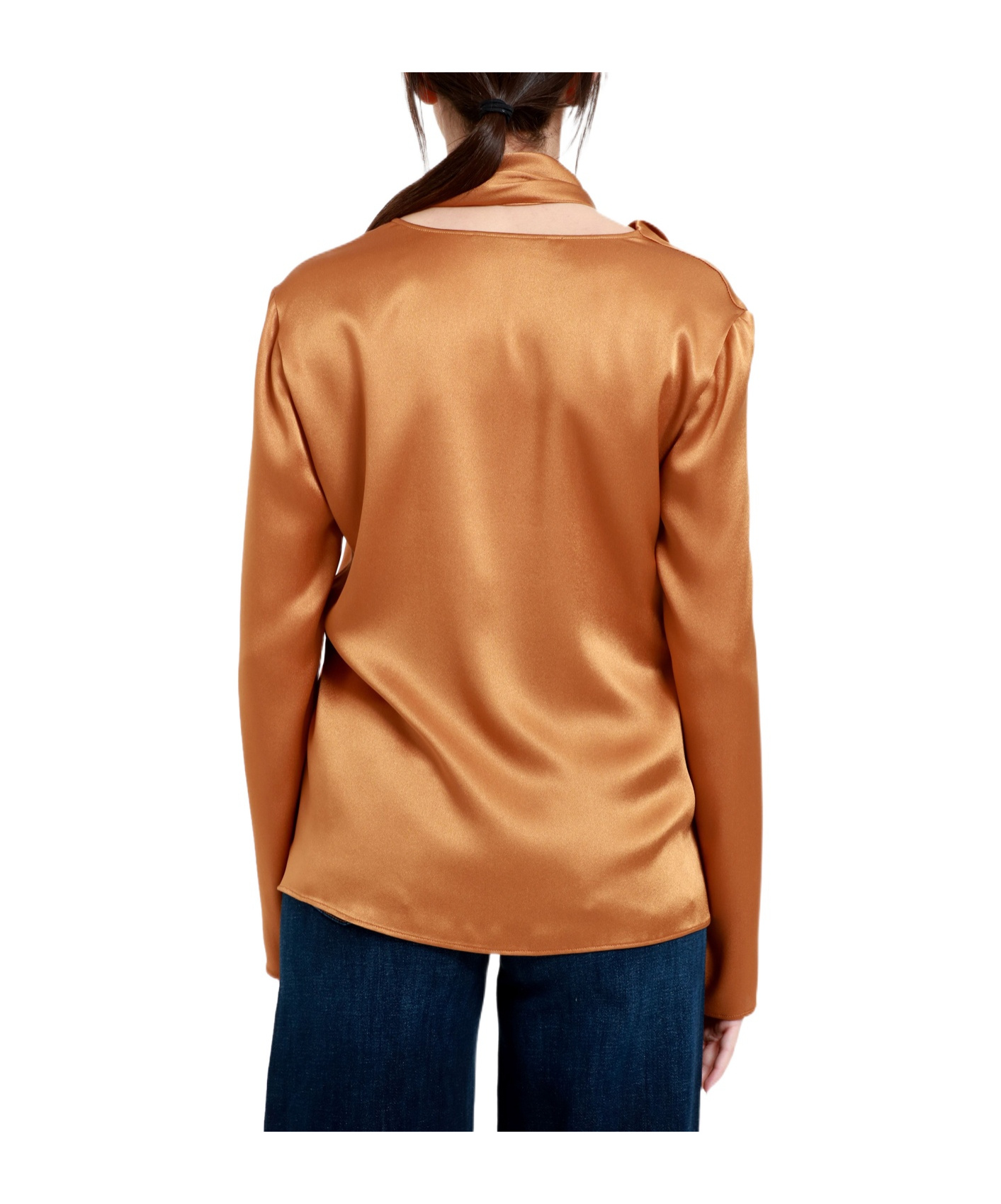 Alberta Ferretti Long-sleeved Shirt In Brown