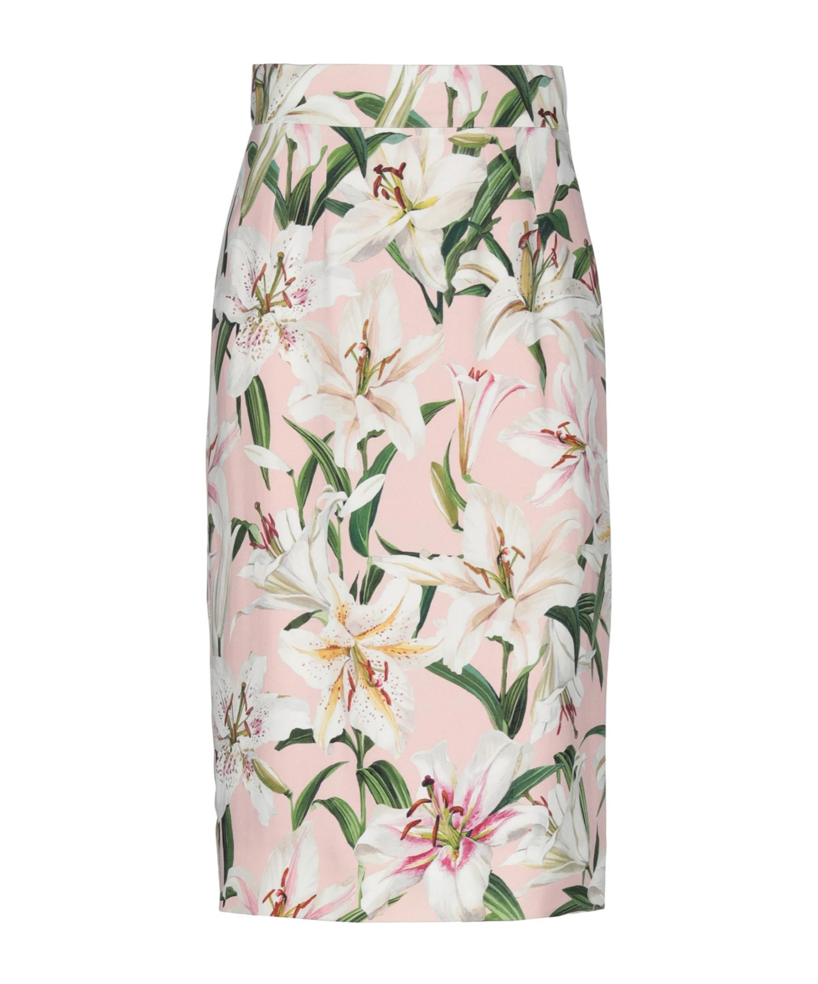 Dolce & Gabbana Floral Print Midi Skirt In Pink