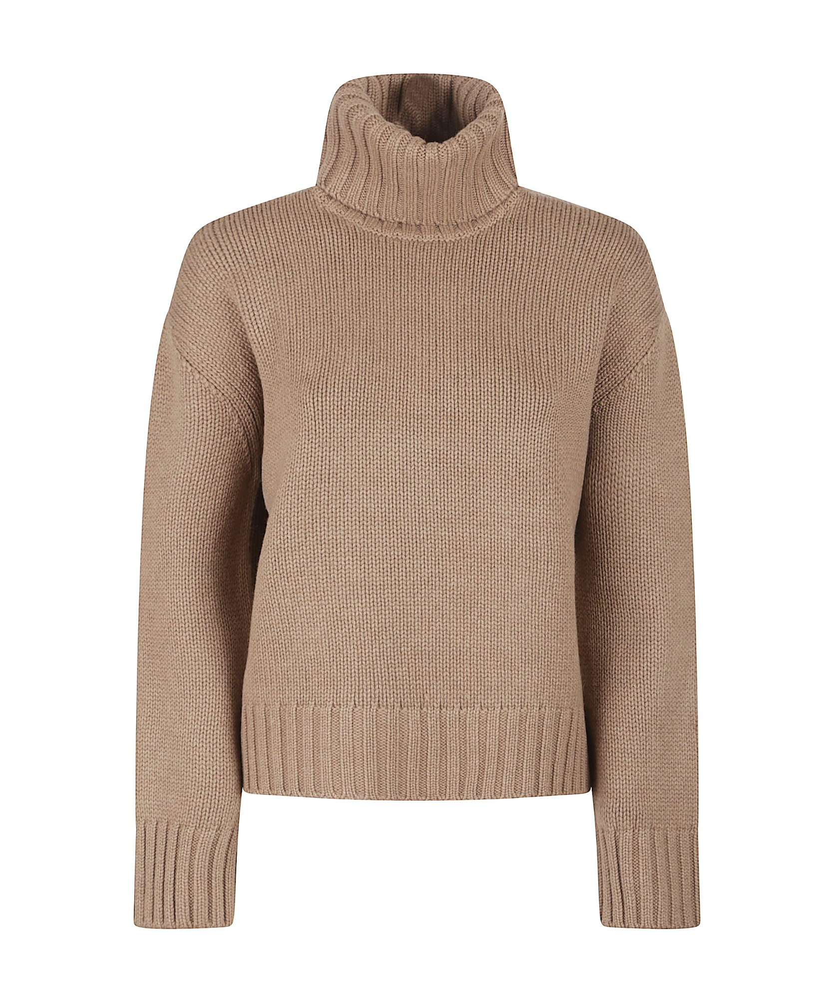 Fabiana Filippi Turtle Neck Sweater In Nude