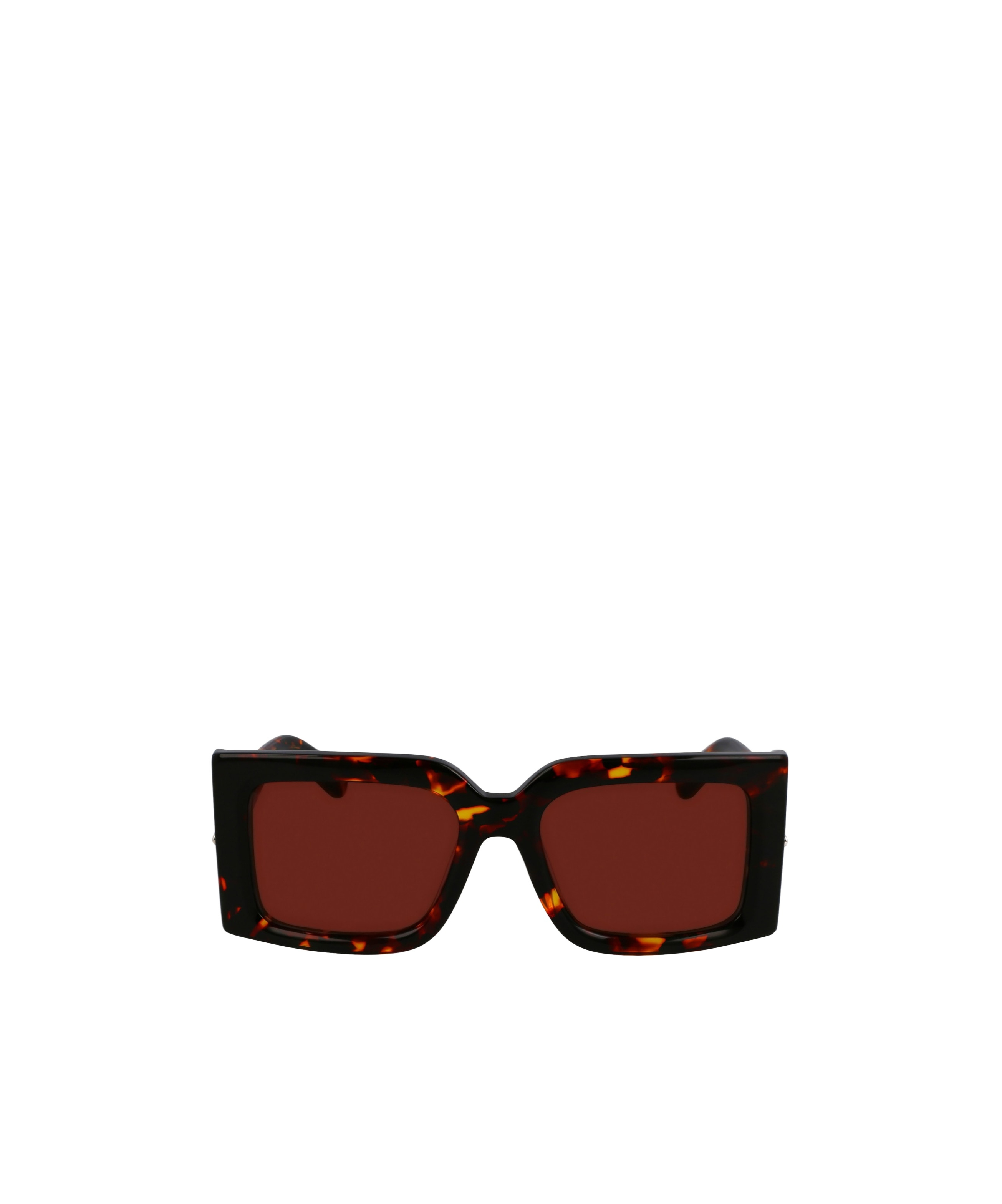 Ferragamo Frame Sunglasses In Brown