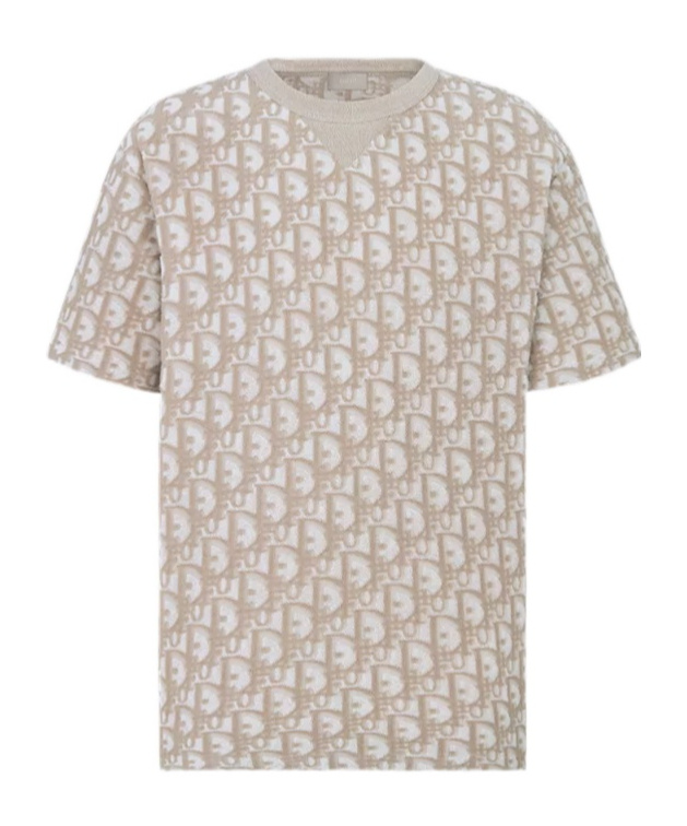 Dior Oblique T-shirt, Relaxed Fit In Brown