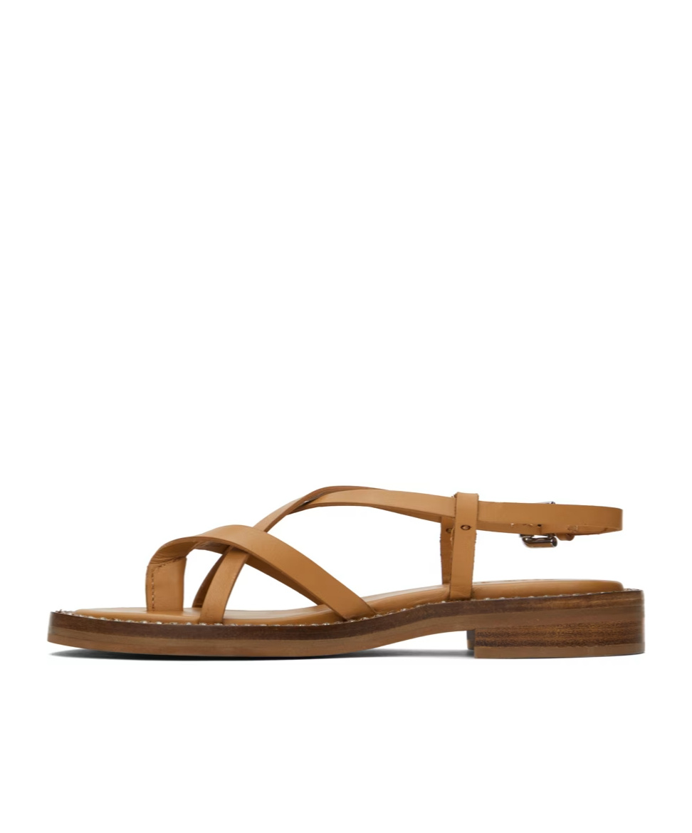 See By Chloé Lynette Cross-strap Flat Sandals In Brown