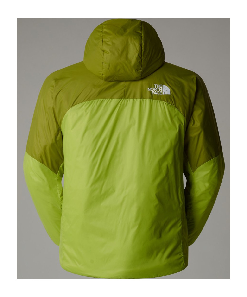 The North Face Andola Synthetic Thermal Jacket In Green