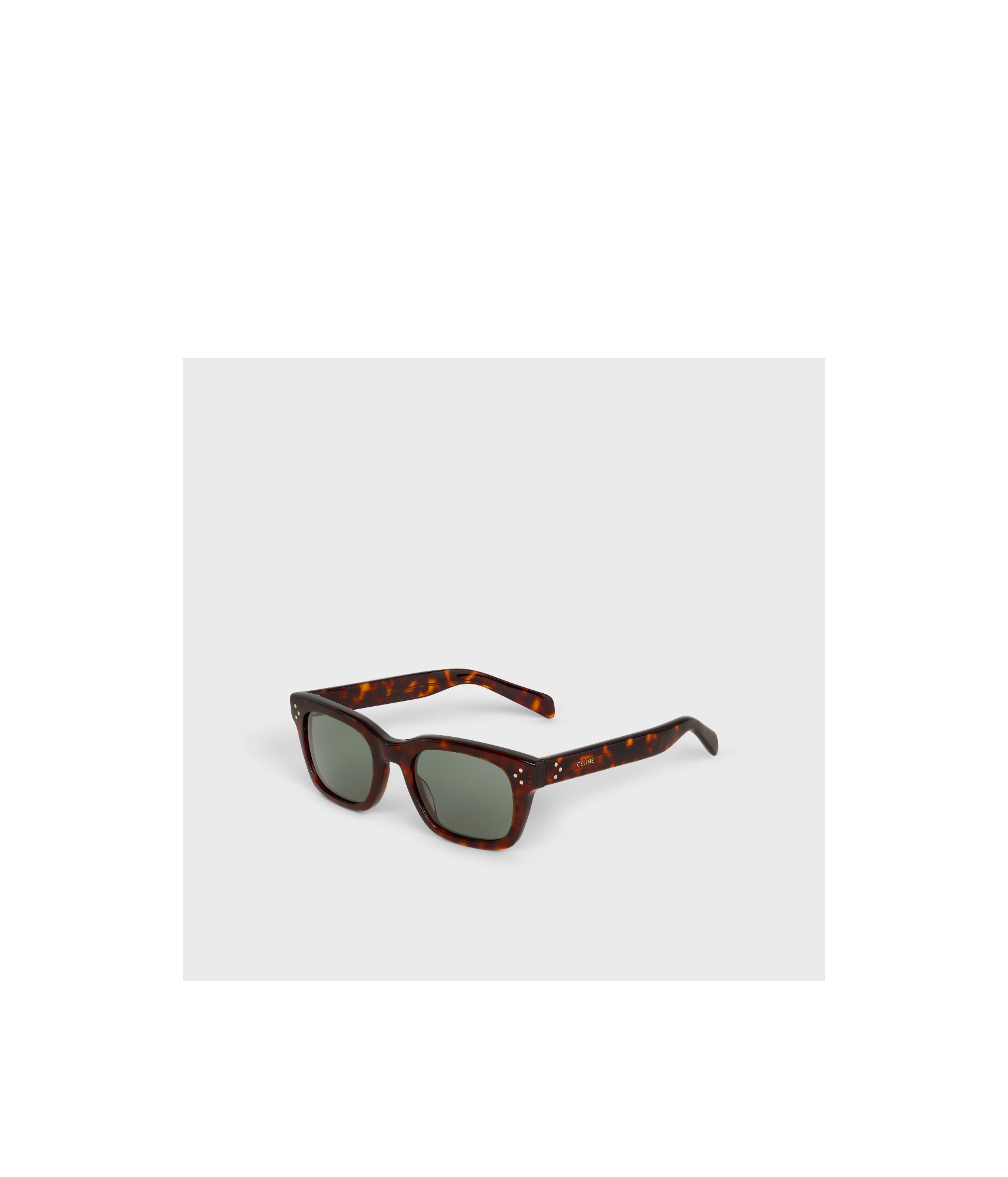 Celine Full Frame Sunglasses In Brown