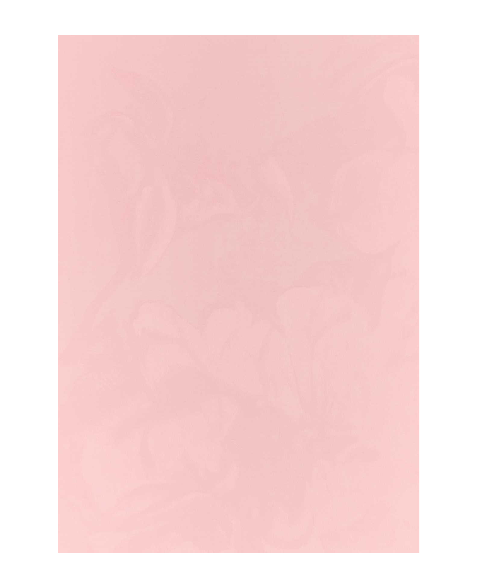 Alexander Mcqueen Pink Silk Foulard In Pink
