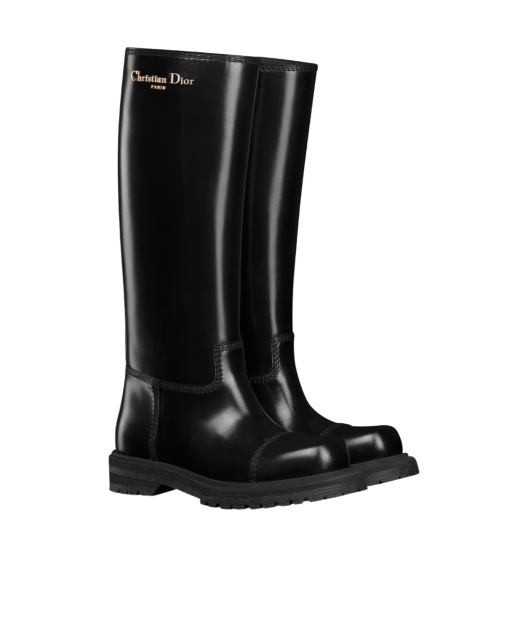 Dior Ebel Boots In Black