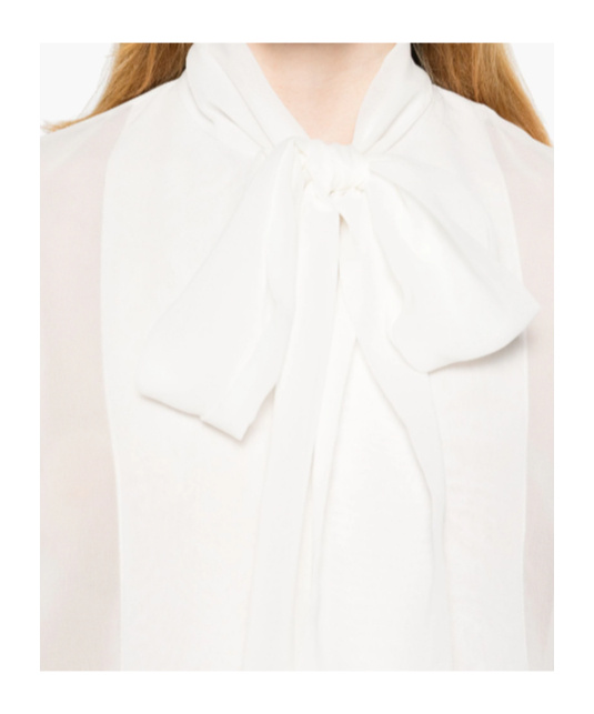 P.a.r.o.s.h Polidori Tied-neck Sheer Blouse