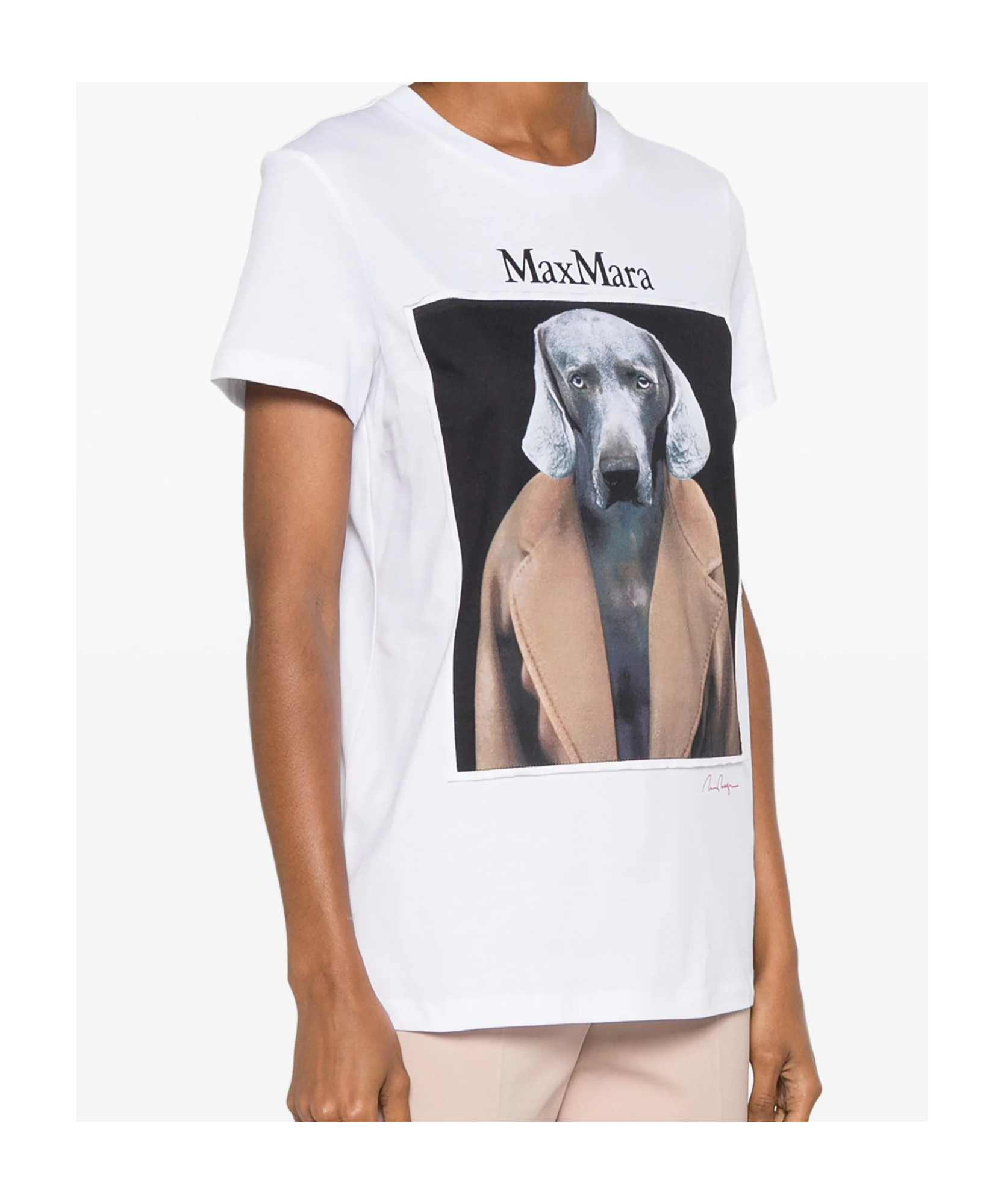Max Mara Cipria T-shirt In White