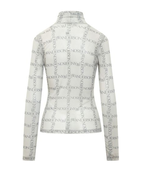 Jw Anderson Sheer Long Sleeve Turtleneck Top In White