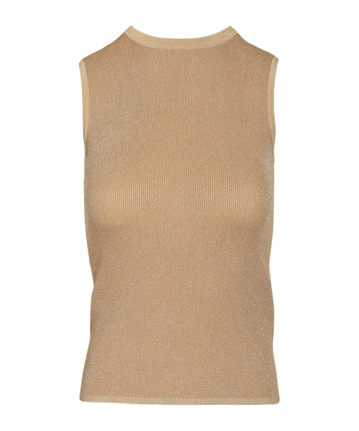 Max Mara Sleeveless Knitted Vest In Brown