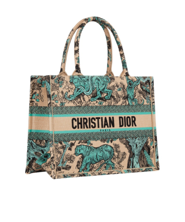 Dior Medium Iviera Book Tote Handbag In Multicolor