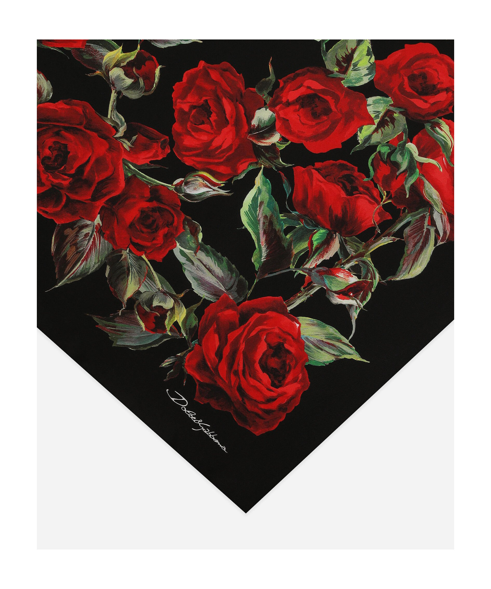 Dolce & Gabbana Schal Mit Rosen-print In Black