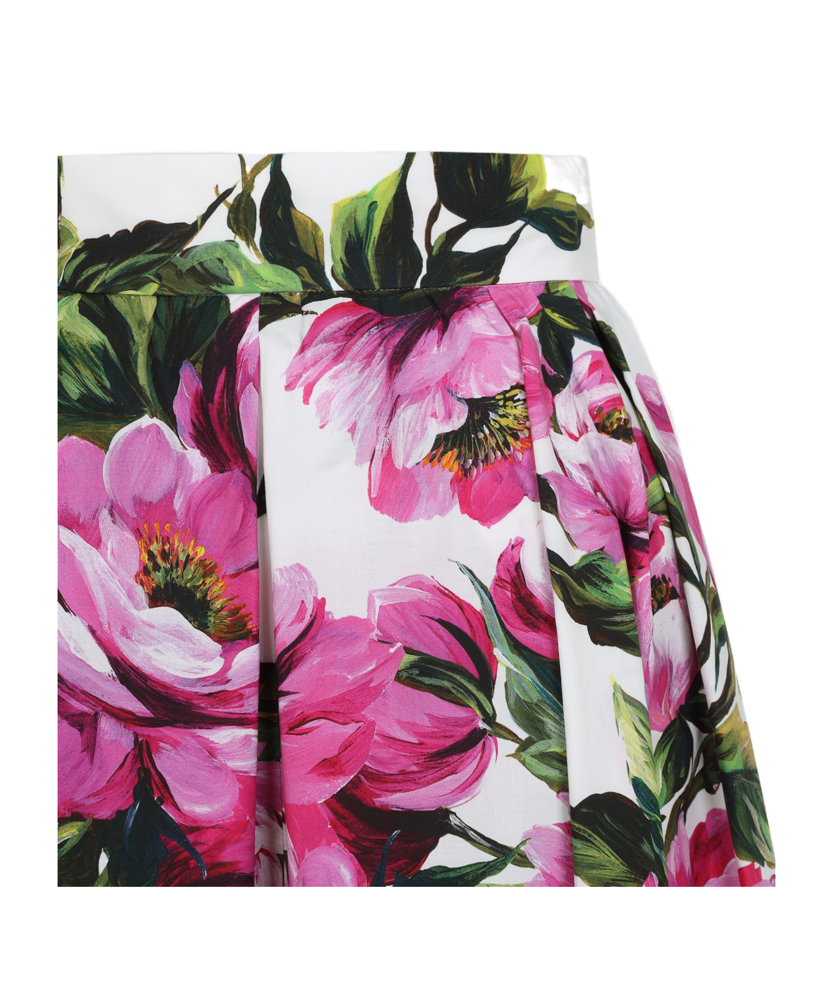 Dolce & Gabbana Womens Peonie Fuxia F.bco Floral-print Cotton Midi Skirt In Multicolor